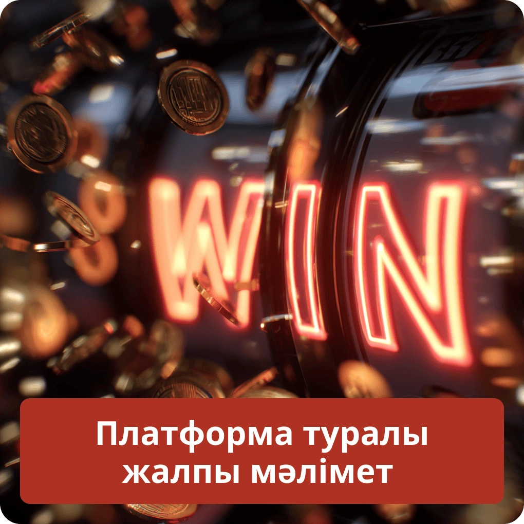 Платформа туралы жалпы мәлімет